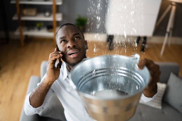 Best 24/7 water damage repair  in Loxley, AL