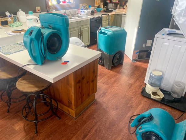 Best Flood damage cleanup  in Loxley, AL