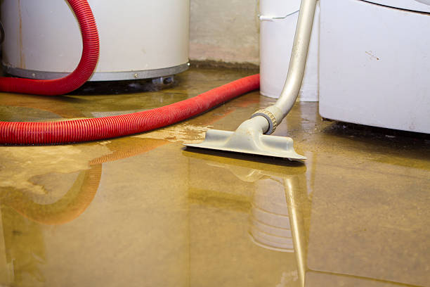 Best 24-hour water damage restoration  in Loxley, AL